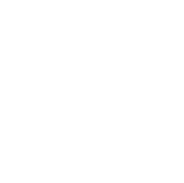 JOYFUL PS